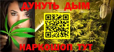 индика Обнинск