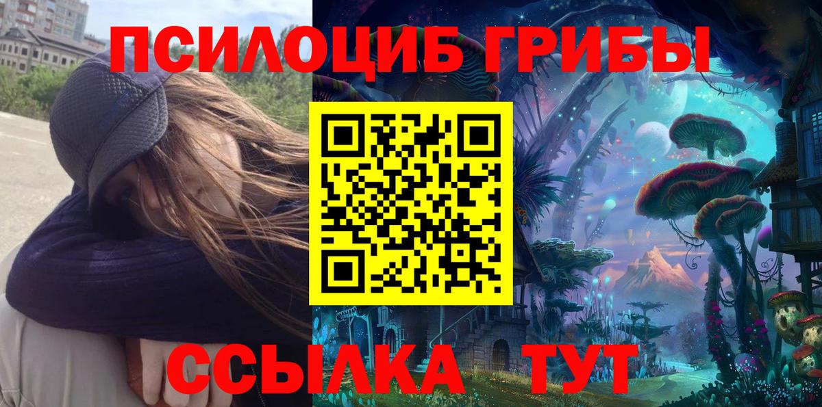 Псилоцибиновые грибы Psilocybine cubensis  Галлюциногенные грибы прущие грибы  Тосно  Вход с VPN 